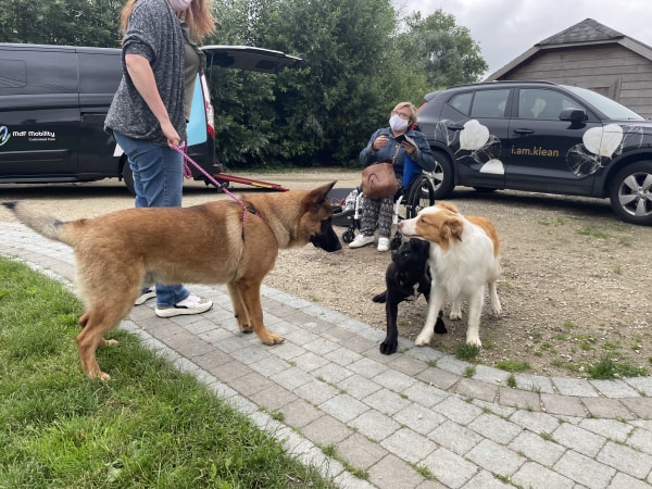 company image MdF Mobility C. A.  11