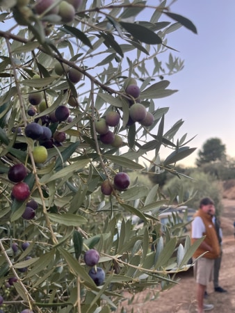 Opportunités chez TierraLou