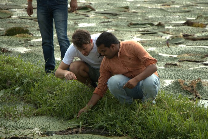 company image Zenko Superfoods BE 11