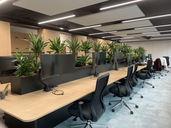 Careers RSM Belgium - HR picture 