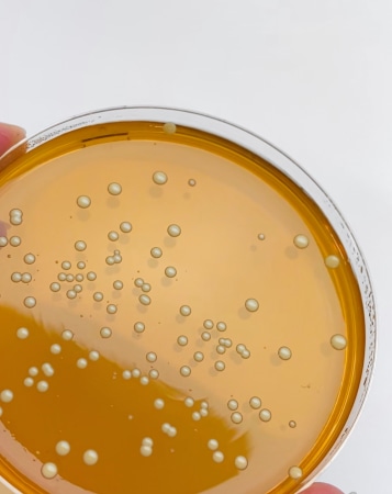 Explore jobs at YUN - team picture