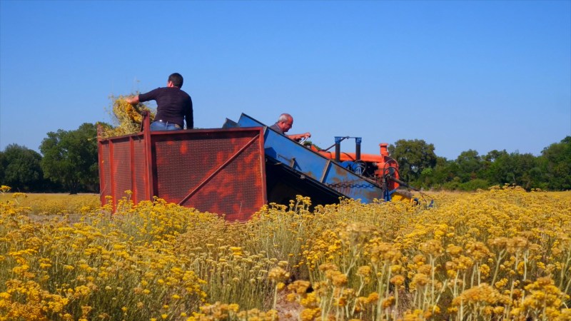 Job offers at LOCCITANE BELGIUM 