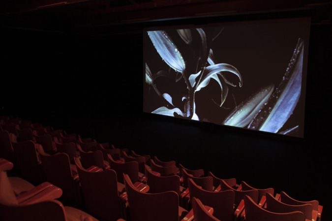 Werk bij ons bij Netwerk Aalst - Carrière-afbeelding