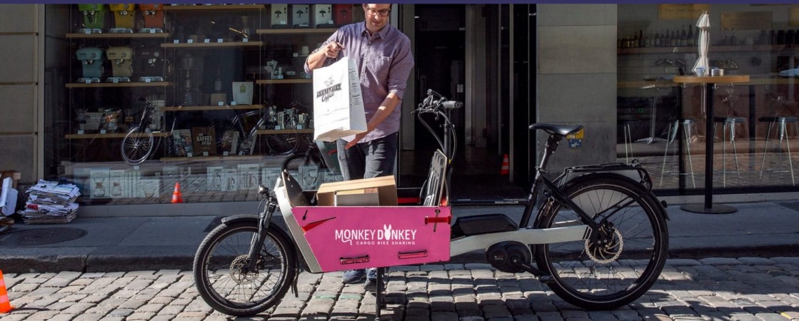 Monkey Donkey  - HR picture 