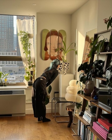 THE SKATEROOM - HR foto 