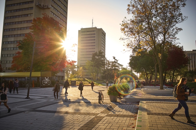 company image undefined 6