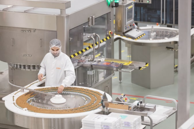 company image GSK 16