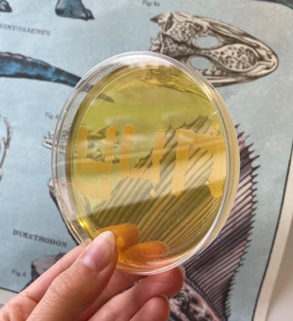 Join the team at YUN - HR picture 