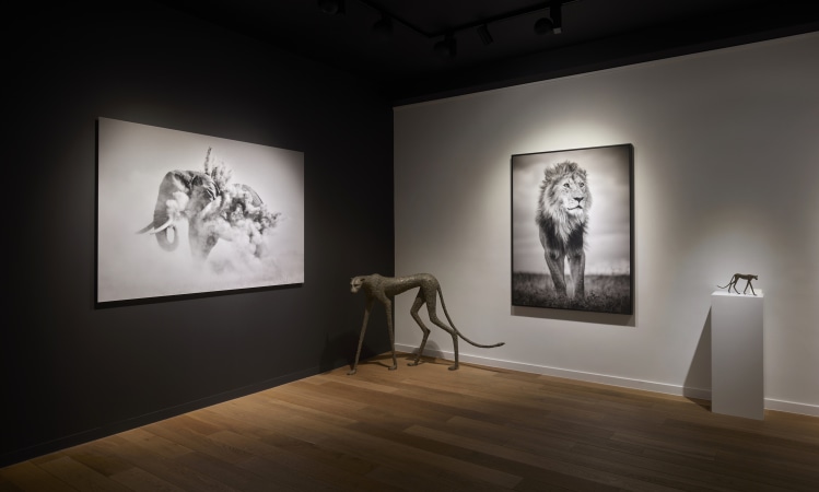 Travailler chez Jones Gallery - image HR