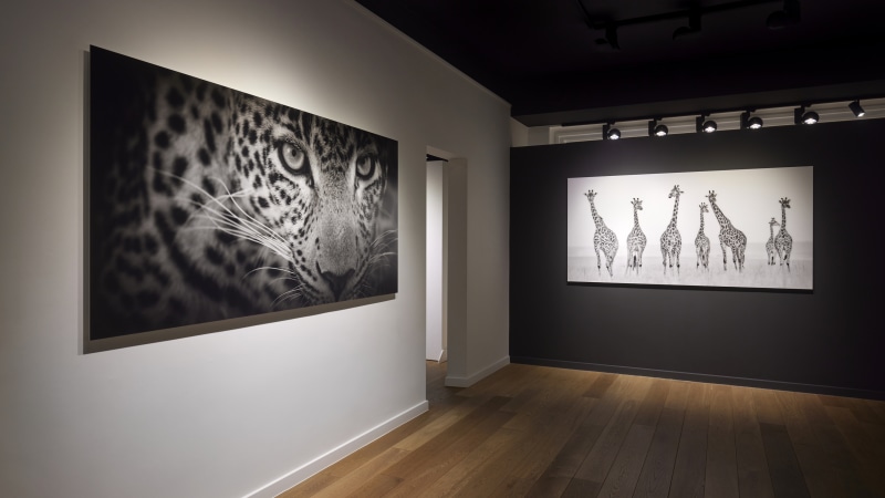 Votre avenir chez Jones Gallery - image de recrutement