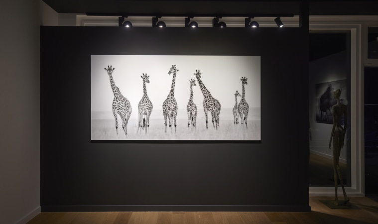 Carrières chez Jones Gallery - image HR