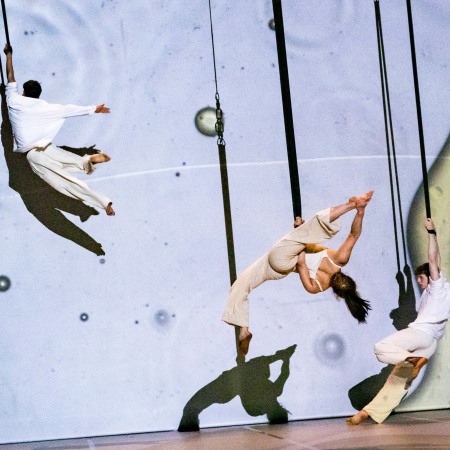 company image undefined 2