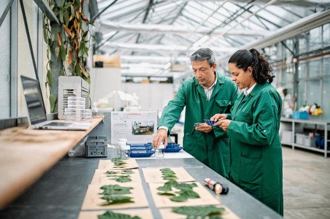 Carrières chez Nestlé - image HR