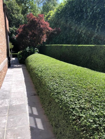 Tuinzorg bv - HR foto 
