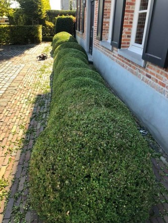 Jobmogelijkheden bij Tuinzorg bv