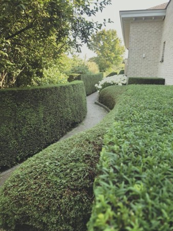 Vacatures bij Tuinzorg bv