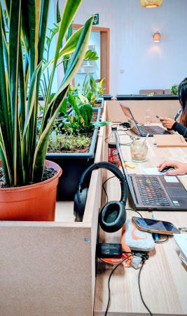 Careers Too Many Cows - Coworking Fernelmont & Hannut - HR picture 