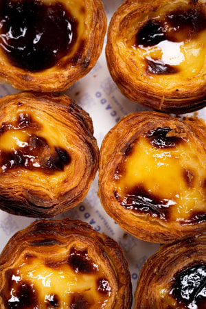 Careers Forcado - HR picture 