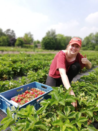 Ontdek vacatures bij The Barn Bio Market - teamfoto