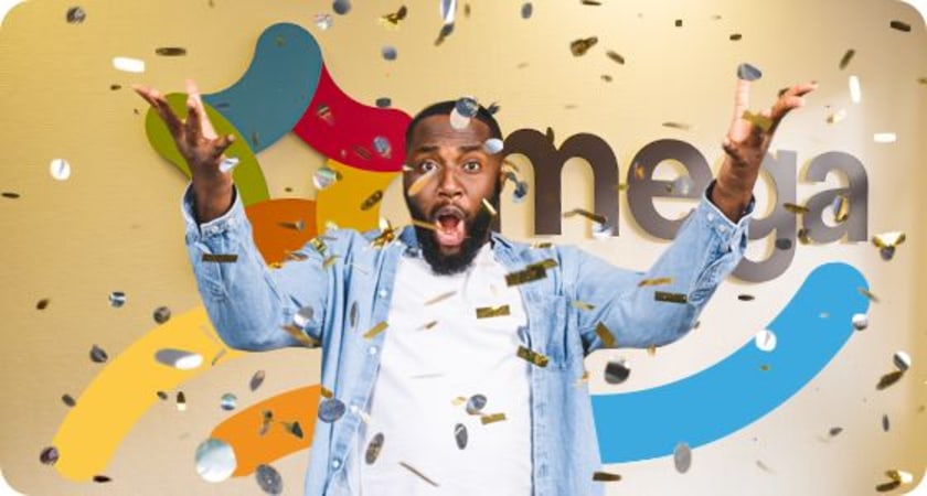 Working at Mega - HR picture 