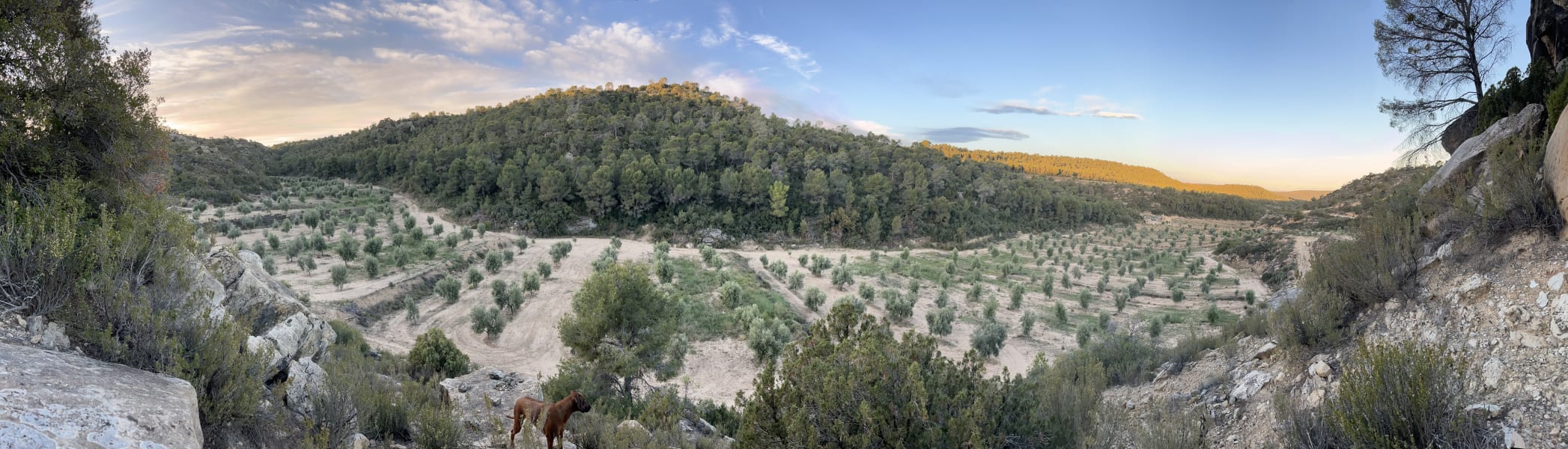 Travailler comme stagiaire, étudiant ou jeune diplômé chez TierraLou