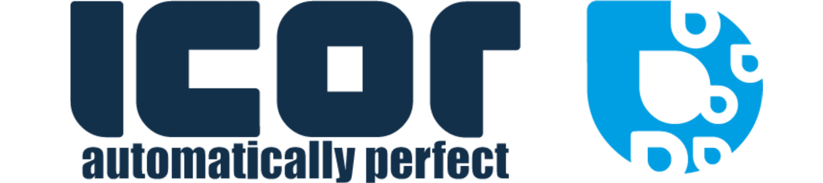 Working as an intern, student or young graduate at ICOR