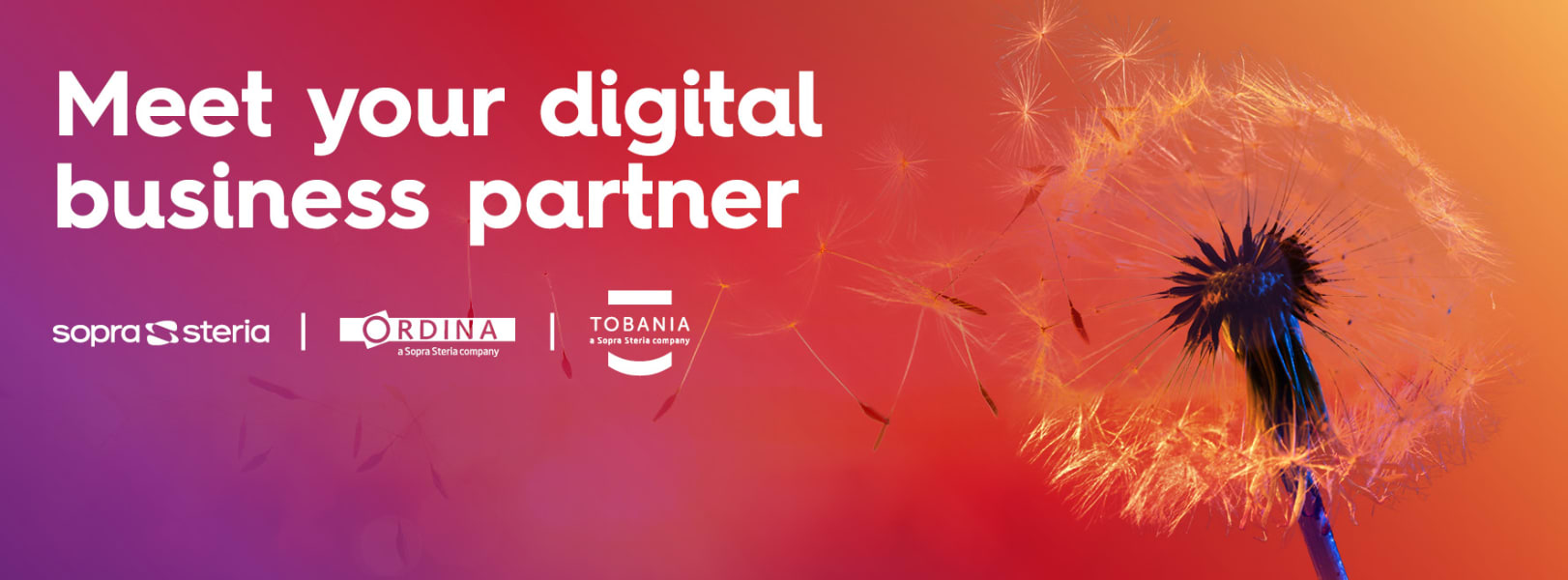 Welk als stagiair, student of young professional bij Sopra Steria