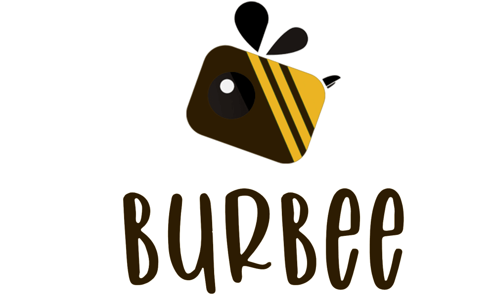 Working as an intern, student or young graduate at Burddy