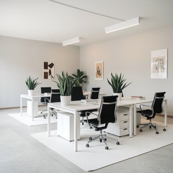 Working as an intern, student or young graduate at Circular Furniture Lab