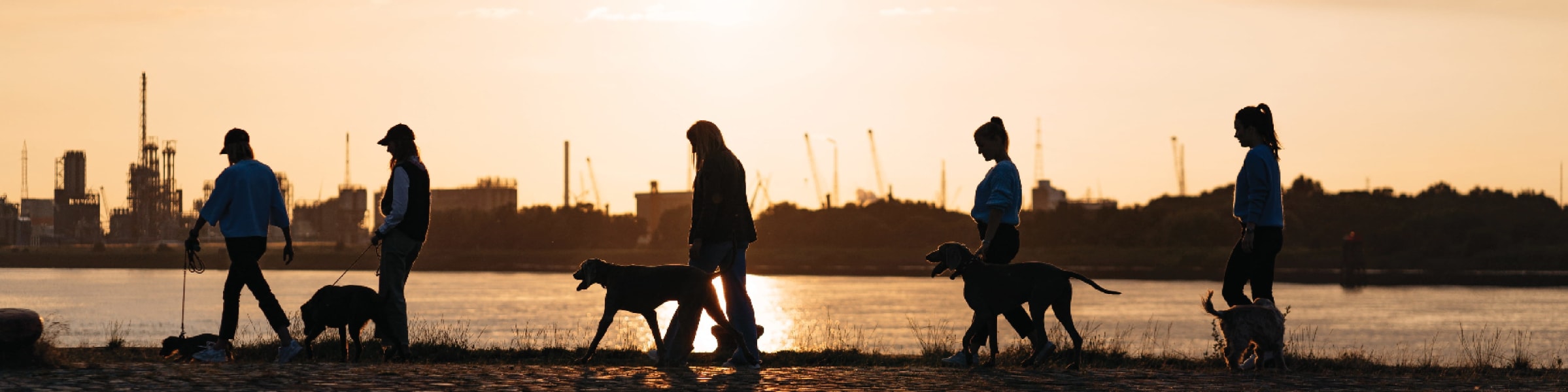 Working as an intern, student or young graduate at Imby Pet Food