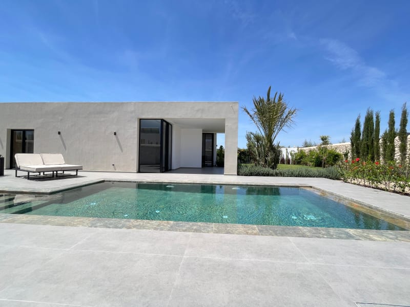 Working as an intern, student or young graduate at Dream Invest Group