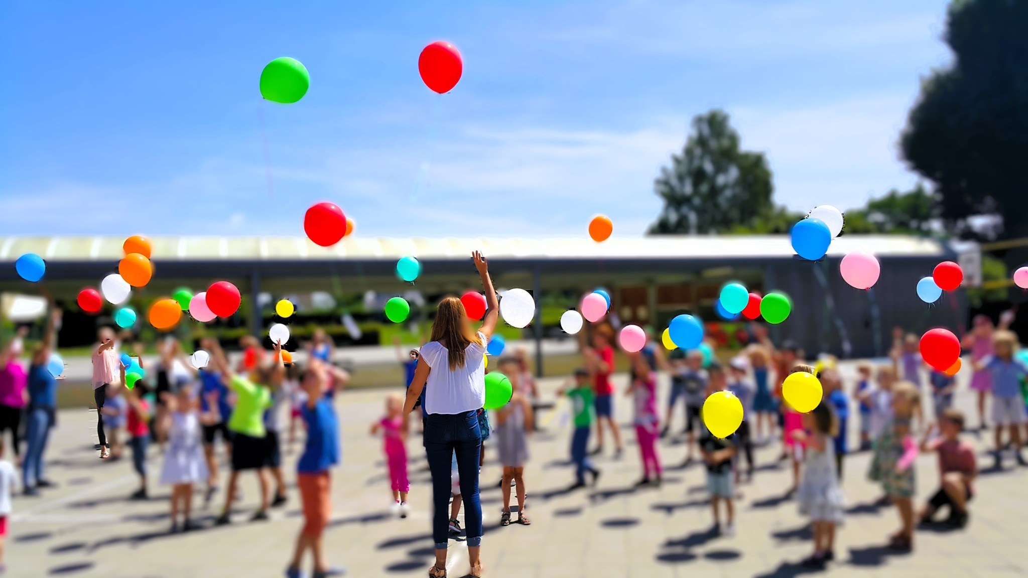 Working as an intern, student or young graduate at BKO 't Ankertje Diepenbeek