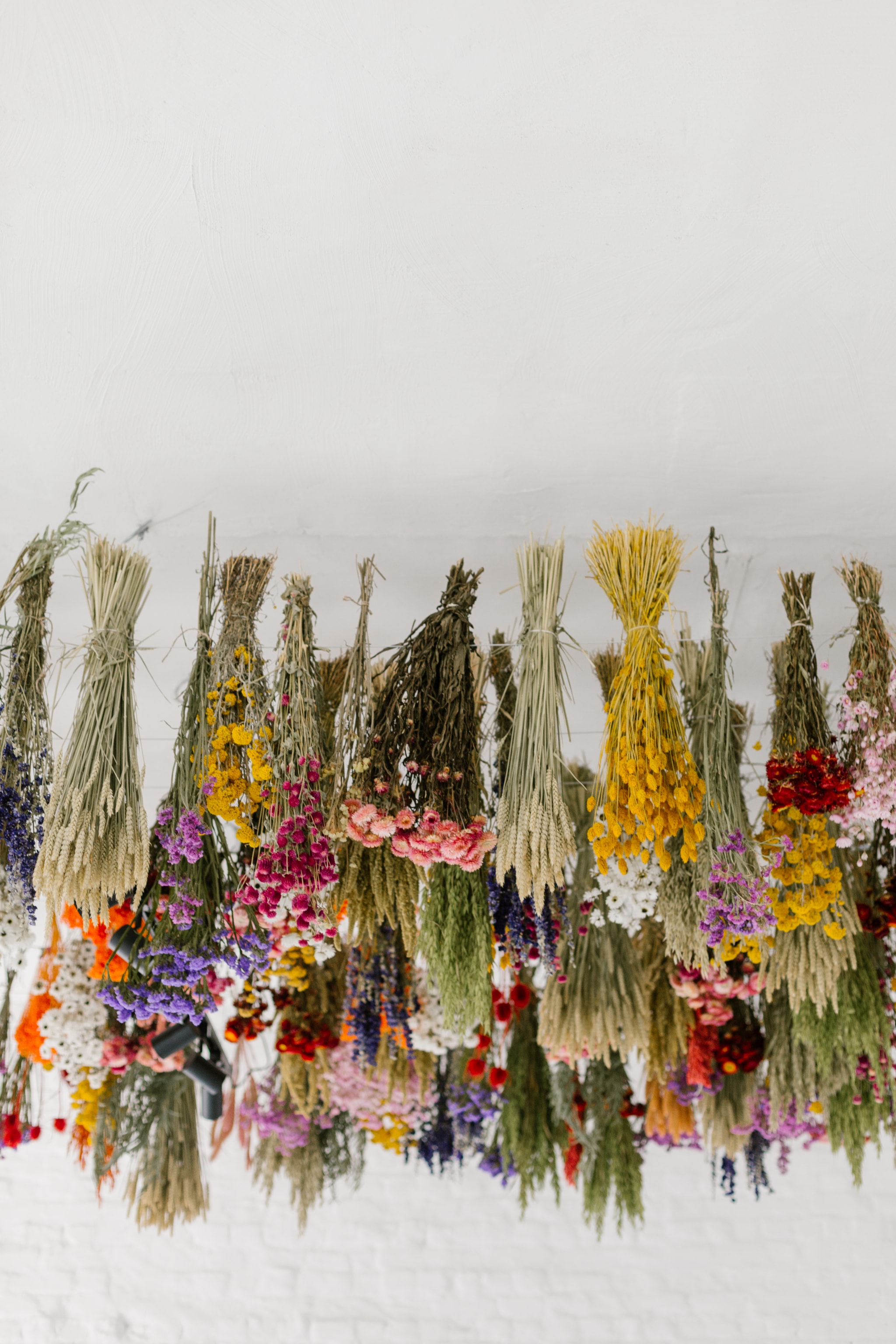 Welk als stagiair, student of young professional bij Pollen Atelier ( GROVO SRL )