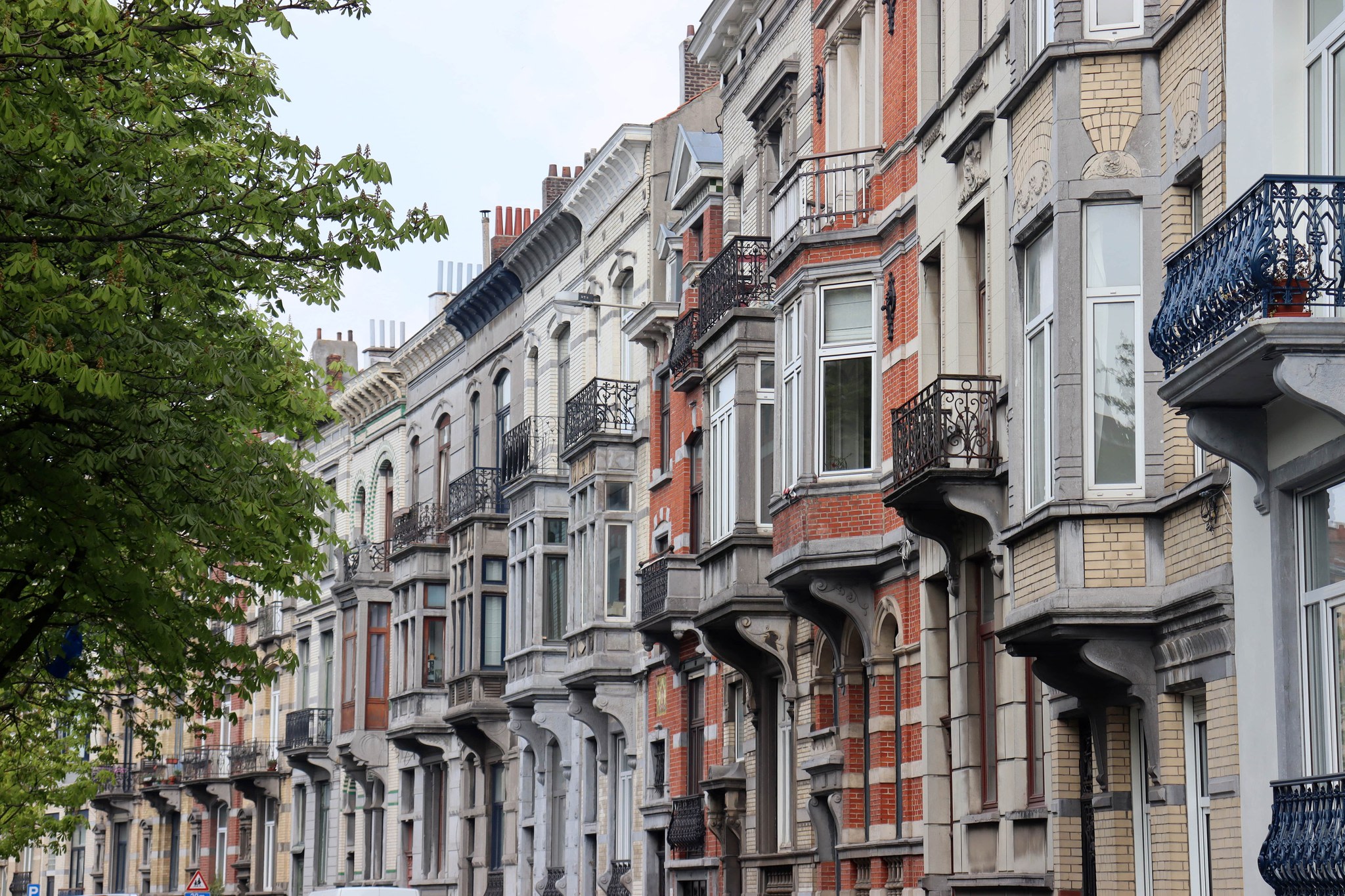 Working as an intern, student or young graduate at Property Hunter 