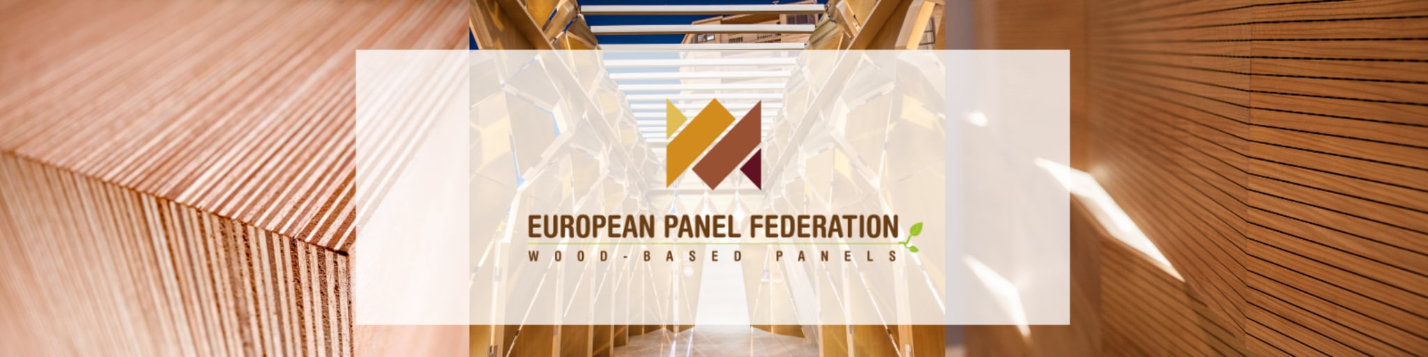 Welk als stagiair, student of young professional bij European Panel Federation (EPF)