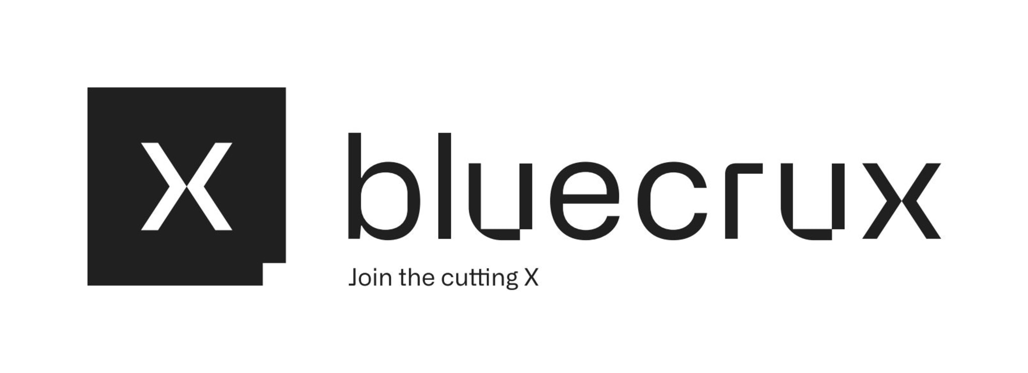 Travailler comme stagiaire, étudiant ou jeune diplômé chez Bluecrux