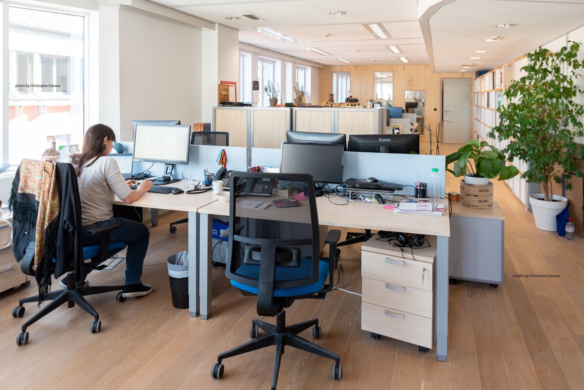 Welk als stagiair, student of young professional bij Dierenartsen zonder Grenzen