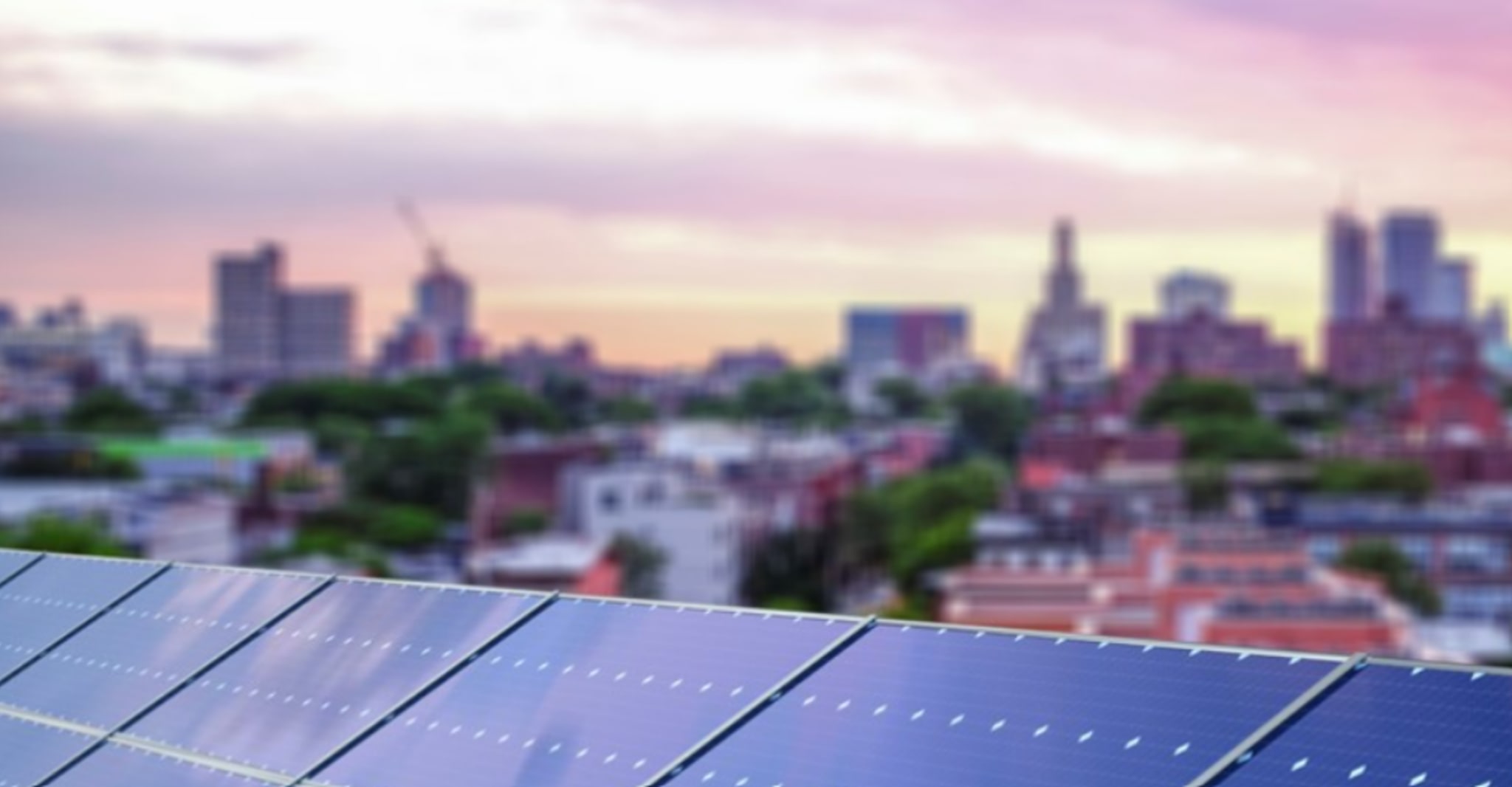 Welk als stagiair, student of young professional bij Sun Is Up