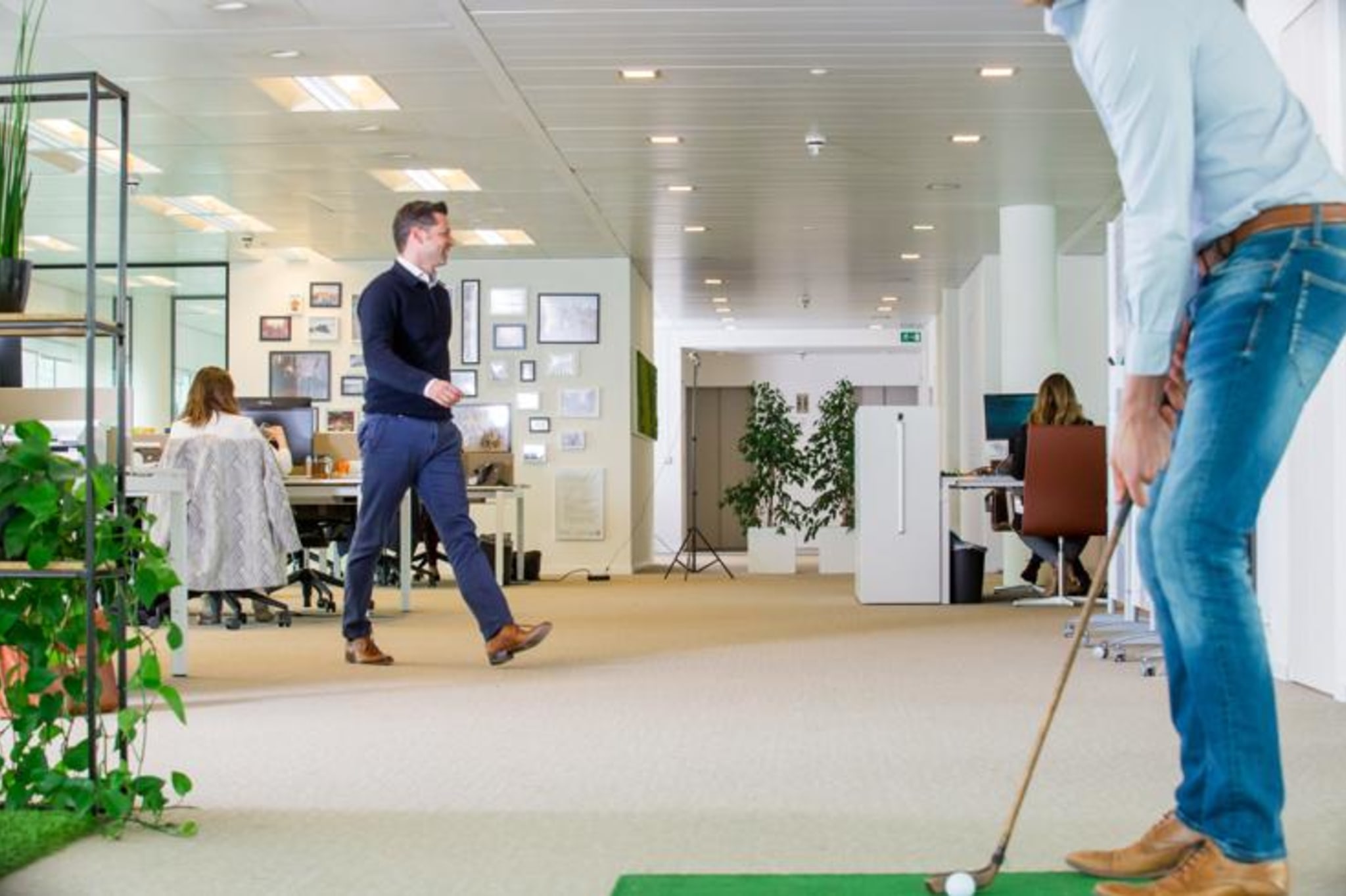 Working as an intern, student or young graduate at Dixon & Company