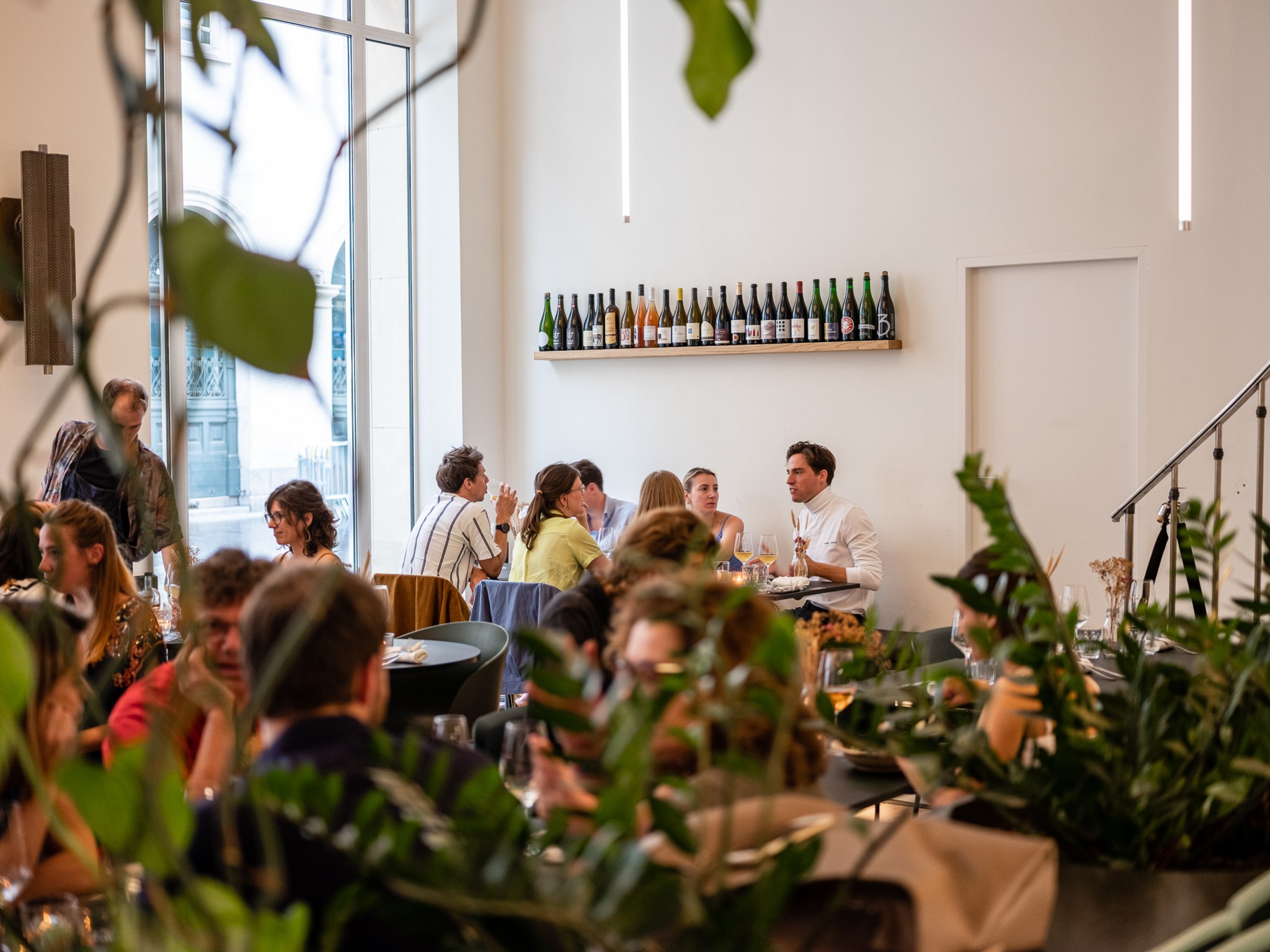 Travailler comme stagiaire, étudiant ou jeune diplômé chez Studio Frankie BV