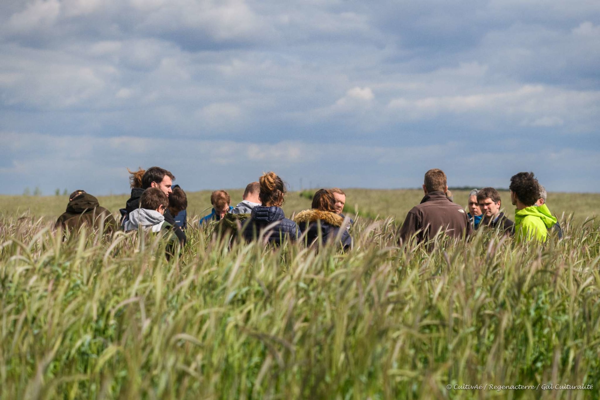 Working as an intern, student or young graduate at CultivAé SCRL