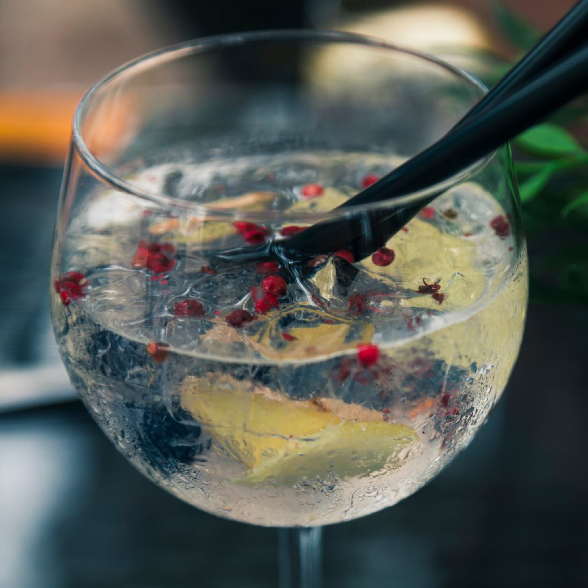 Working as an intern, student or young graduate at Albatross-Liquors BVBA