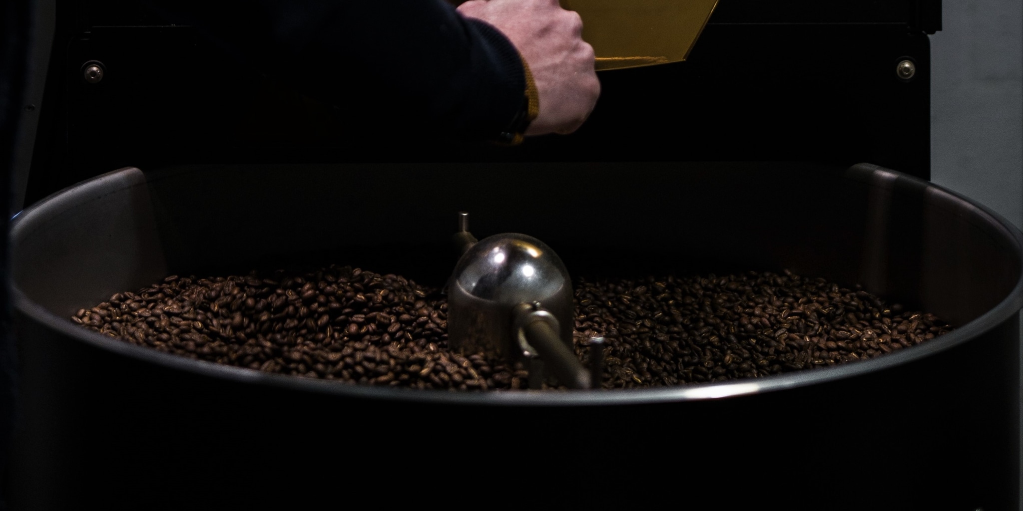 Working as an intern, student or young graduate at Gust Coffee Roasters