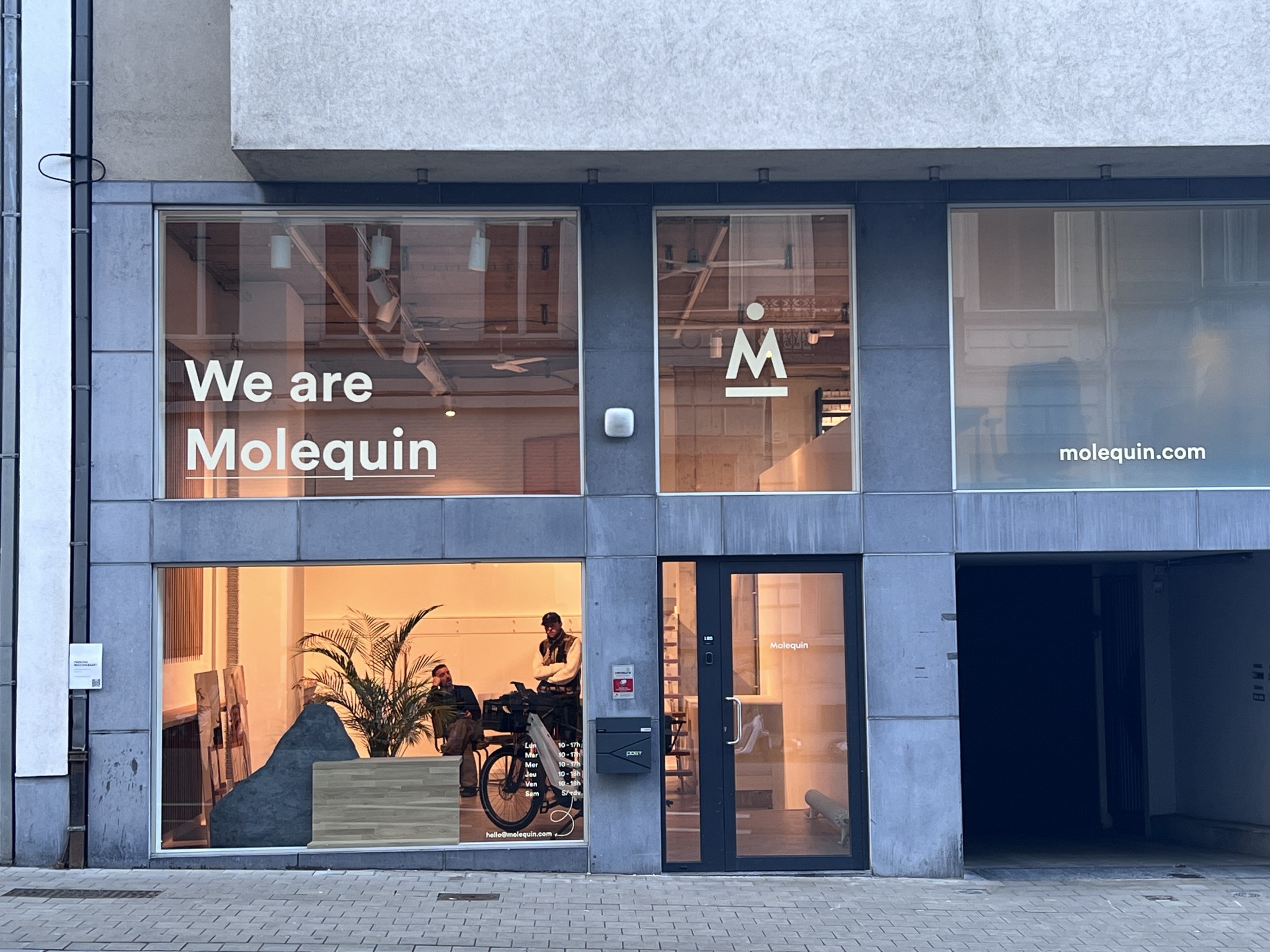 Working as an intern, student or young graduate at Molequin SRL