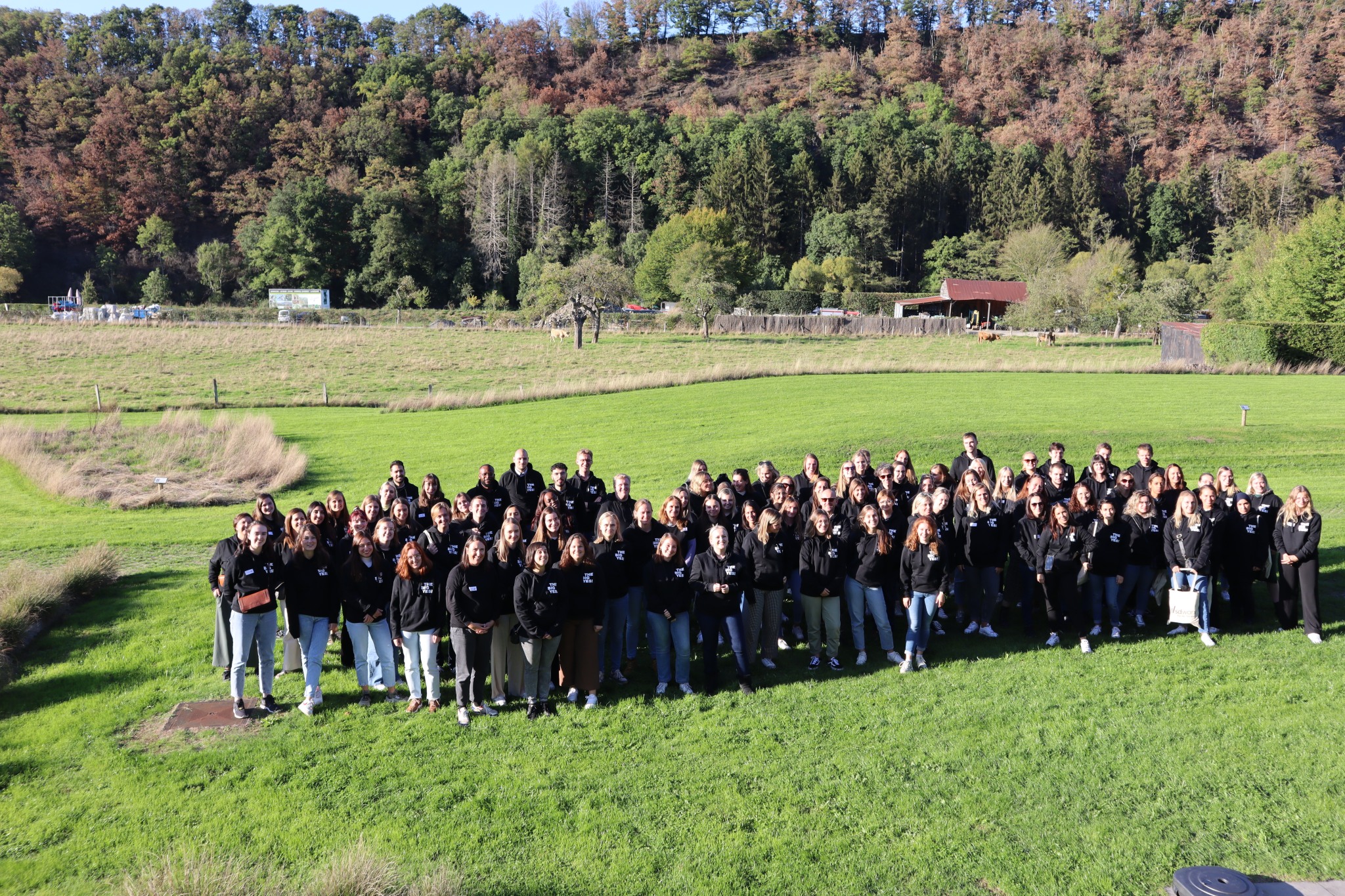 Welk als stagiair, student of young professional bij SD Worx