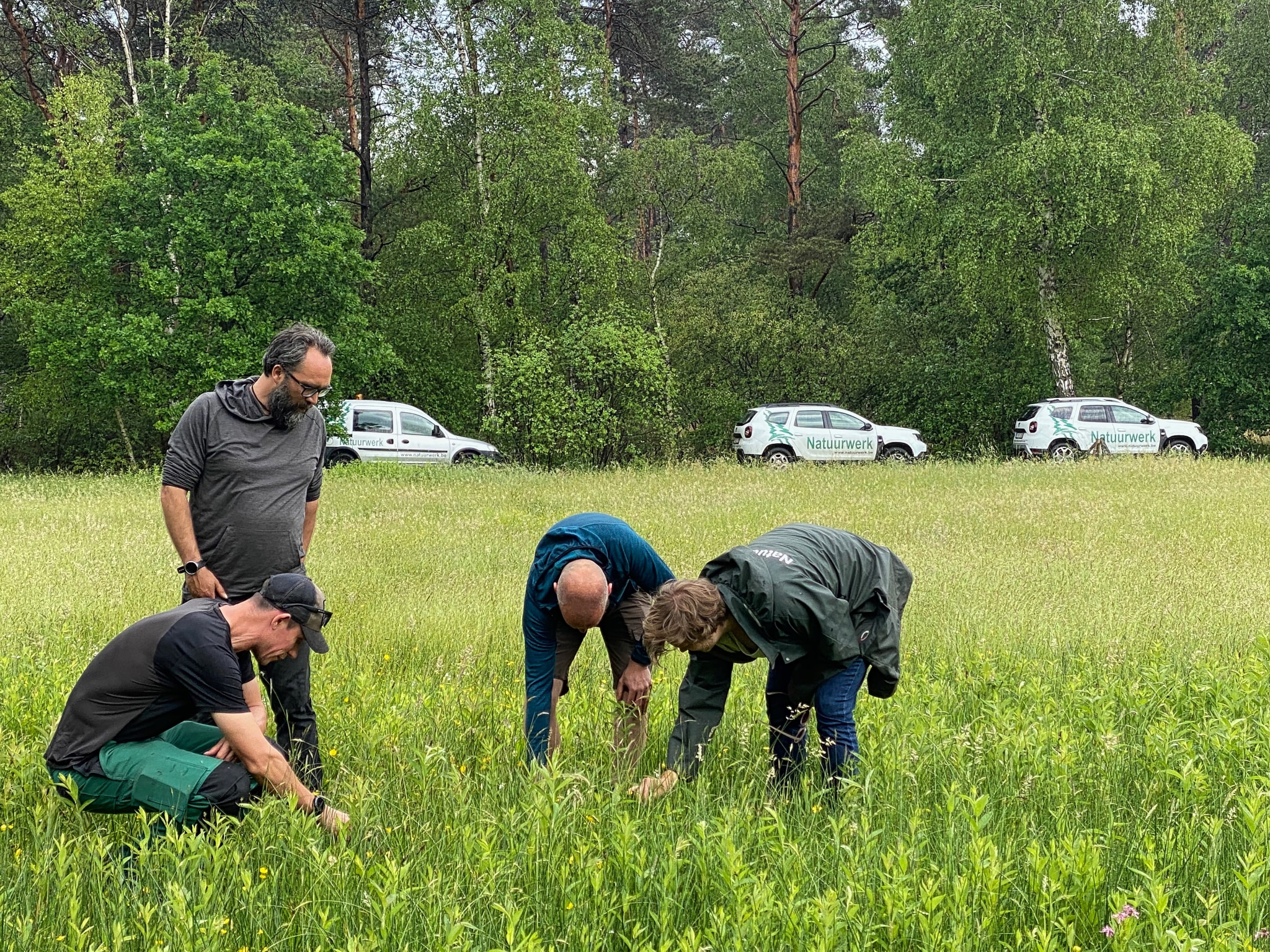 Working as an intern, student or young graduate at Natuurwerk vzw