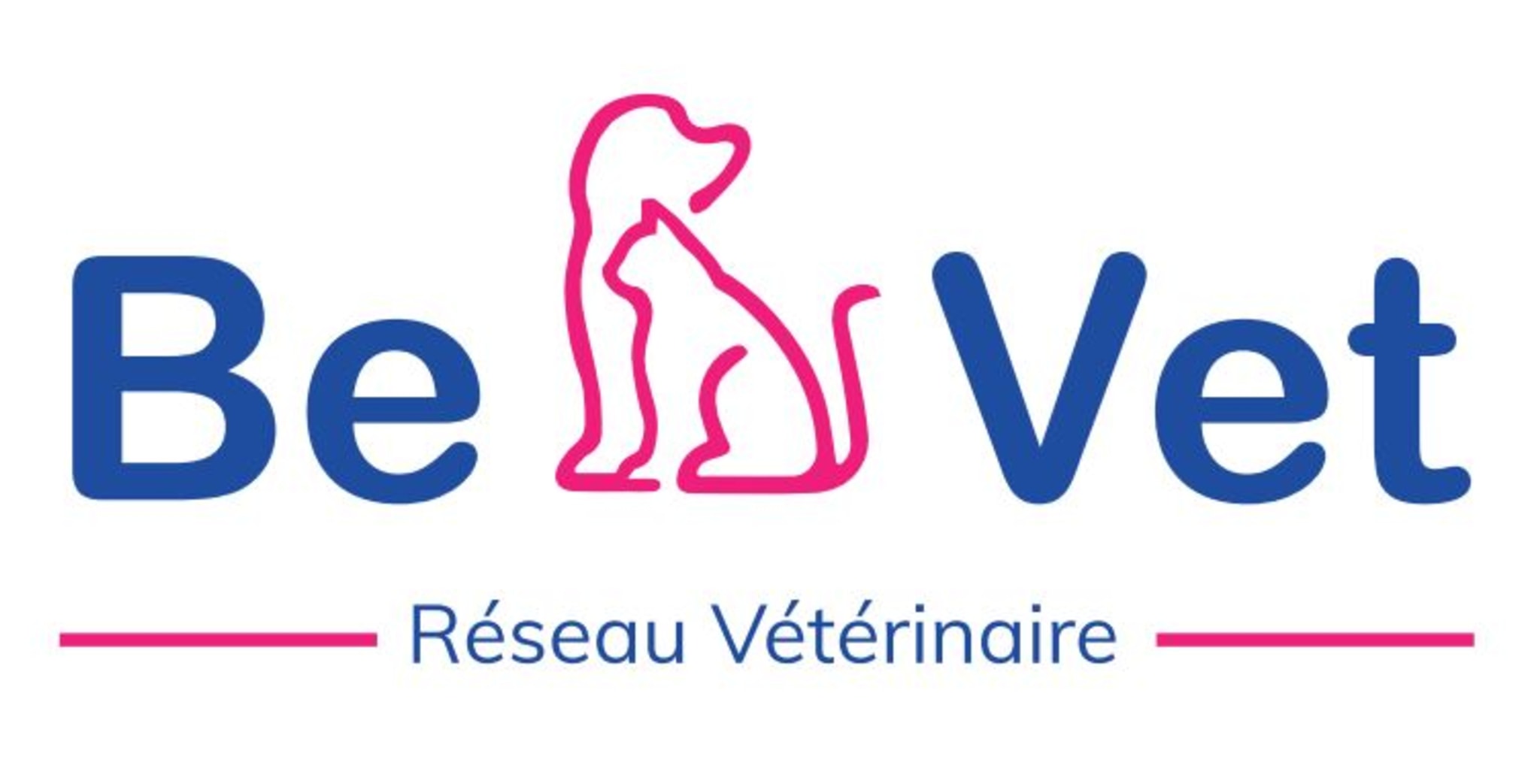 Welk als stagiair, student of young professional bij BeVet