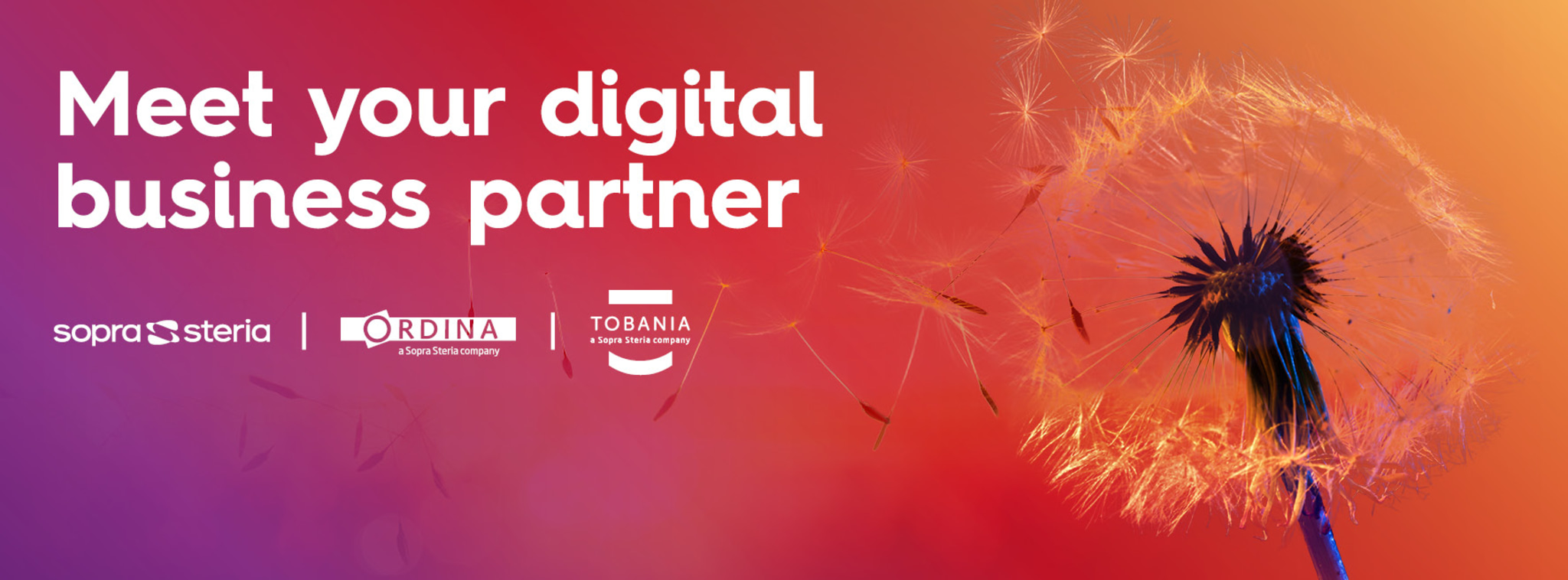 Welk als stagiair, student of young professional bij Sopra Steria