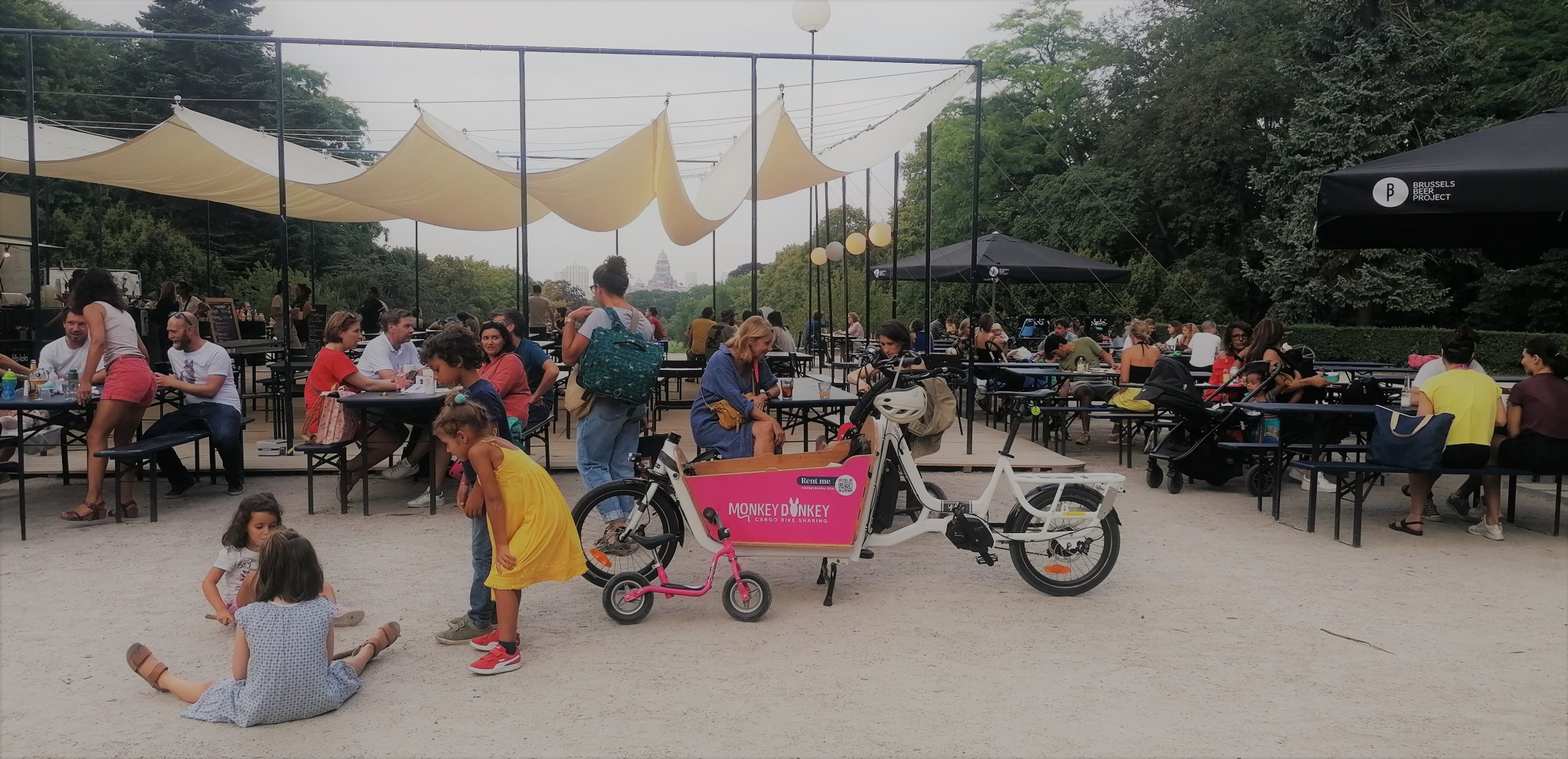 Working as an intern, student or young graduate at Monkey Donkey 