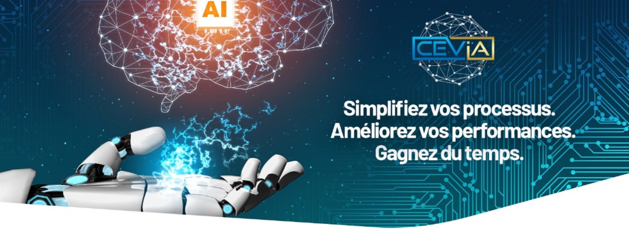 Working as an intern, student or young graduate at CEVIA